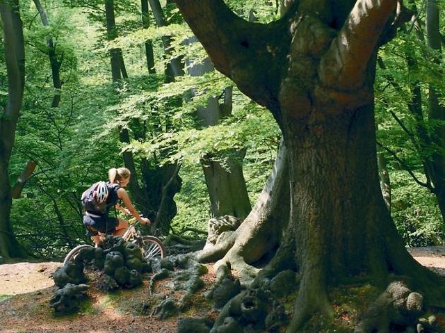 Spot Keren untuk Bersepeda gunung di London